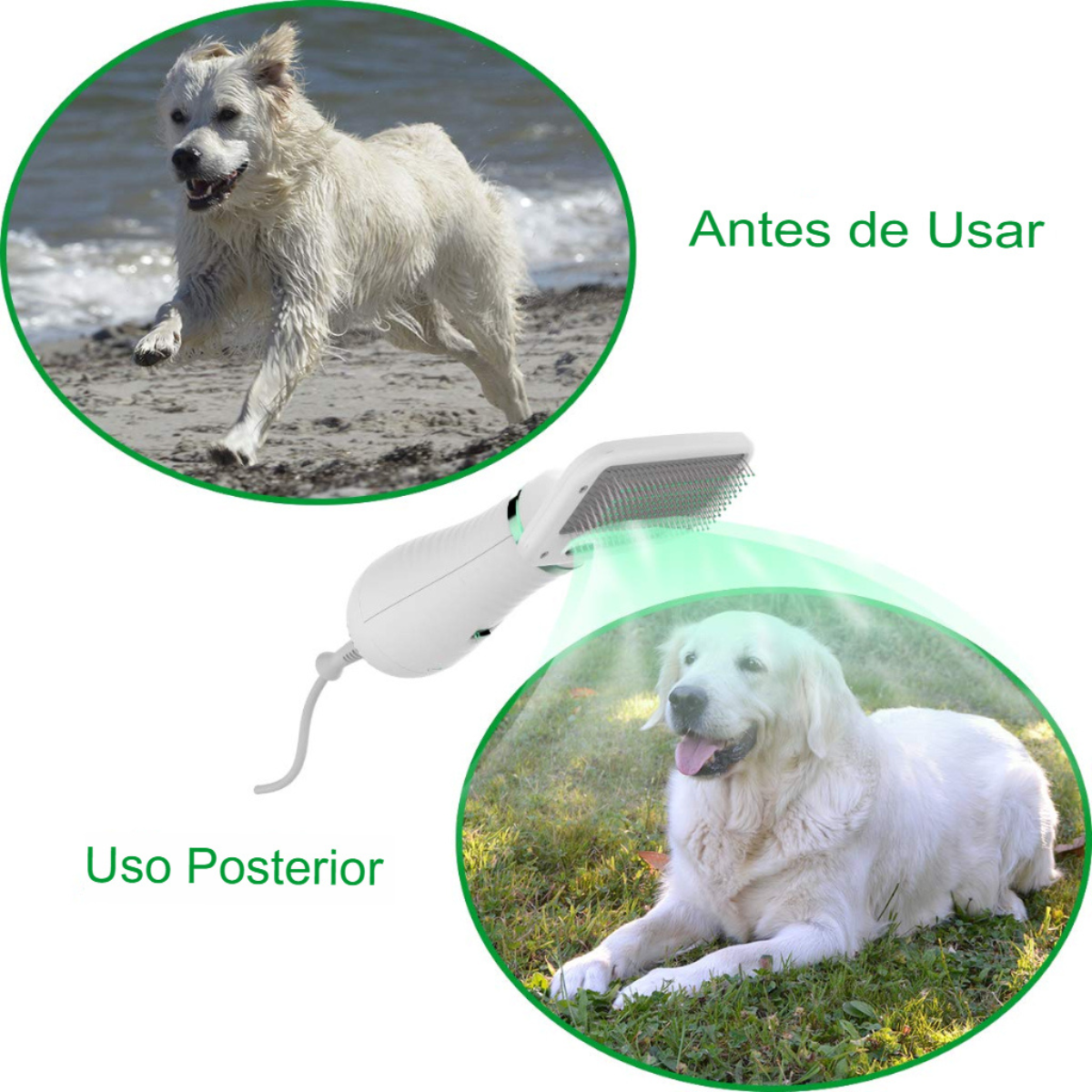 Secador de pelo para mascotas